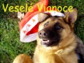 /album/fotogaleria/vesele-vianoce-jpeg/